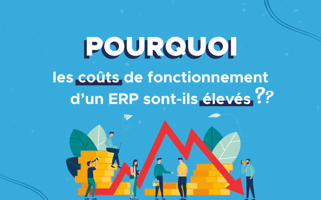 Pourquoi les coûts de fonctionnement d’un ERP sont-ils élevés ?