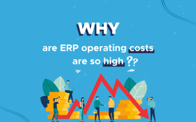 Why are ERP operating costs so high?